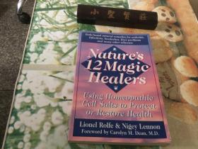 NATURE'S 12 MAGIC HEALERS