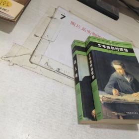 名人传  少年维特的烦恼  两本合售