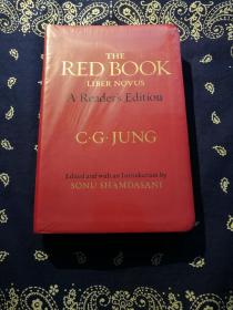 《The Red Book Liber Novus ：A Reader's Edition》
荣格：《红书》（英文原版）