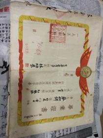 莆田人蔡如锦毕业证三份合售 就读学校莆田蔡厝小学  仙游县第六中学