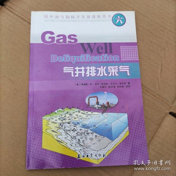 国外油气勘探开发新进展丛书(六) 气井排水采气
