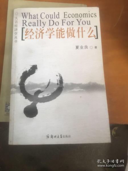 经济学能做什么