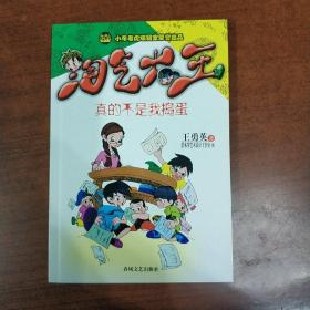 小布老虎《淘气大王--真的不是我捣蛋》王勇英 正版