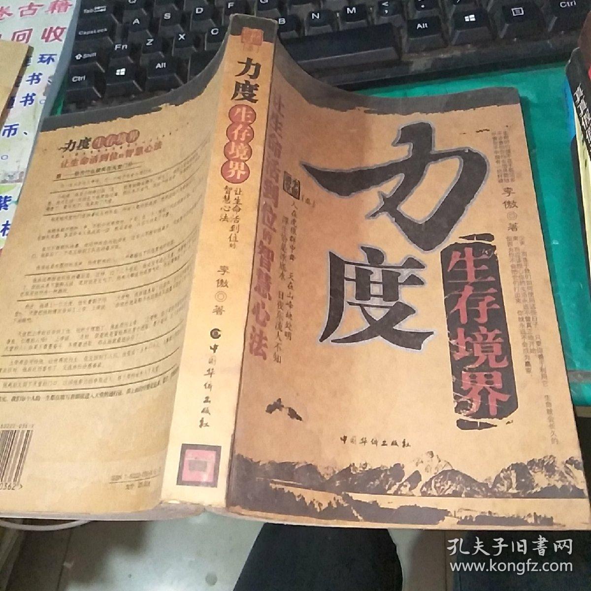 力度生存境界让生命活到位的智慧心法。