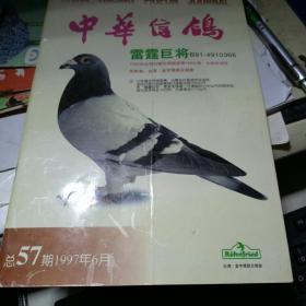 中华信鸽1997年6月  总第57期