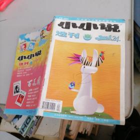 小小说选刊2008一24