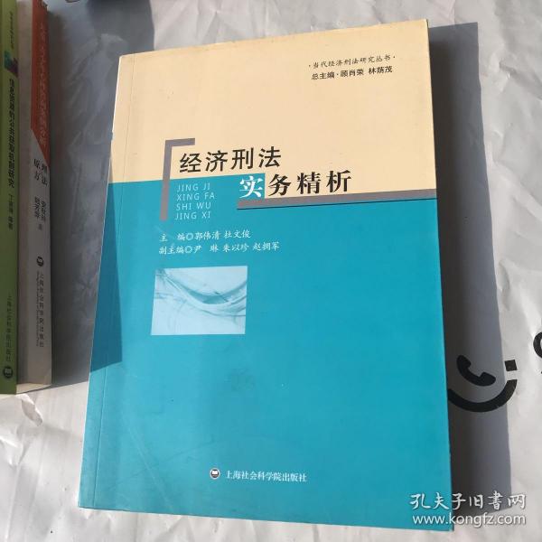 当代经济刑法研究丛书：经济刑法实务精析