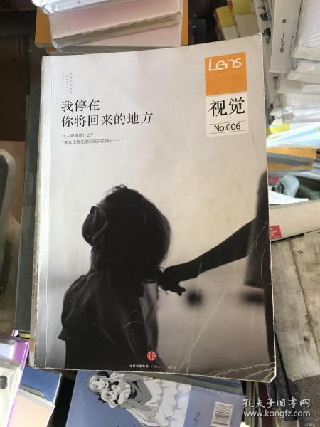 Lens·视觉006：我停在你将回来的地方：什么才是有价值的旅行摄影；冰岛，北欧“冰与火之国”；一个大家庭的乡居生活；人生最后一眼的风景；权力肖像；温故1925；