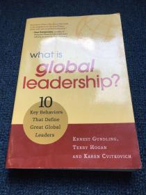 what is global leadership？