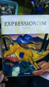 EXPRESSIONISM  国内包邮