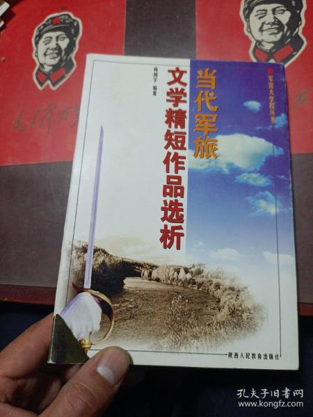 当代军旅文学精短作品选析