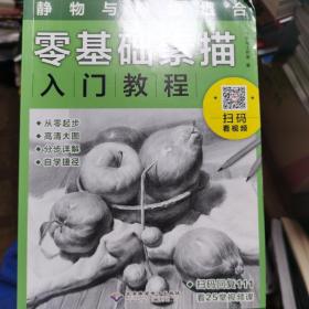 零基础素描入门教程：静物与静物组合