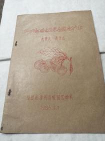 1986年山地龙眼速生早产栽培技术（油印本）（内容12面）