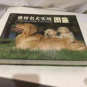 世界名犬实用图鉴