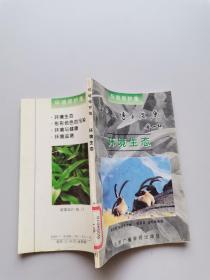 环境保护集环境生态