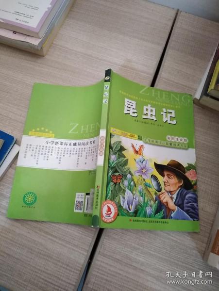 小学新课标正能量阅读书系：昆虫记（彩图注音版）