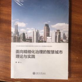 面向精细化治理的智慧城市理论与实践