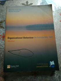 organizational behaviour an lntroductory text