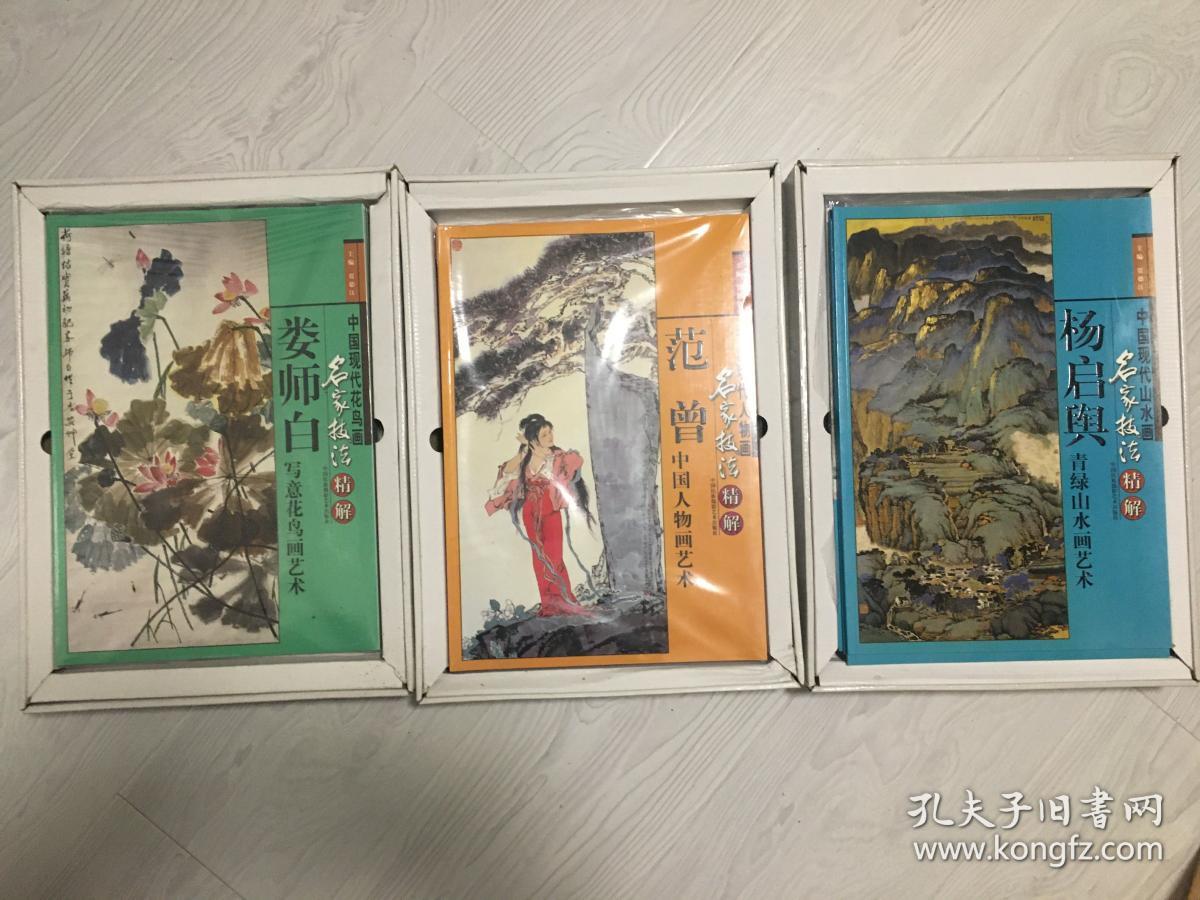 中国现代花鸟画、人物画、山水画名家技法精解（全30册）