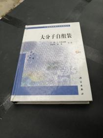 大分子自组装