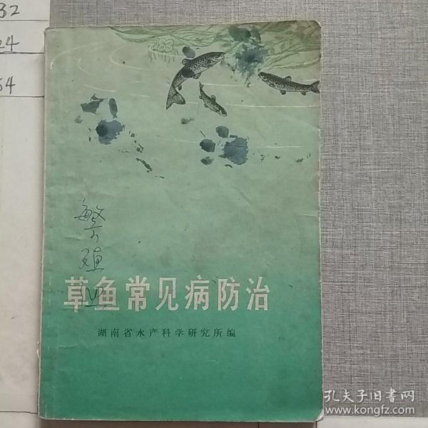 草鱼常见病防治