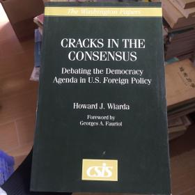 英文书 cracks in the consensus 共识的裂痕