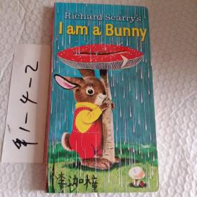I Am a Bunny，一本，要发票加六点税