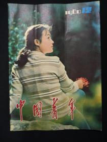 中国青年(1980年第12期)