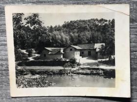 50年代 韶山 风景老照片一枚