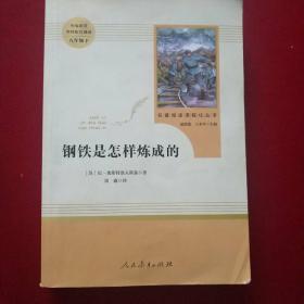 统编语文教材配套阅读 八年级下：钢铁是怎样炼成的/名著阅读课程化丛书