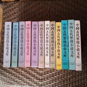 中国古代禁毁小说文库第一、二辑共12册(合售)