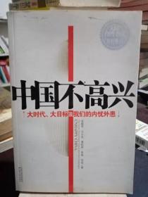 中国不高兴：大时代大目标及我们的内忧外患