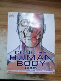 The Concise Human Body Book 人体图解指南 人体视觉指南人体骨骼肌肉系统知识解剖书籍