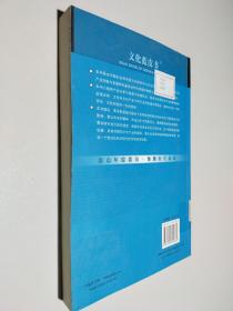 2008年中国文化产业发展报告