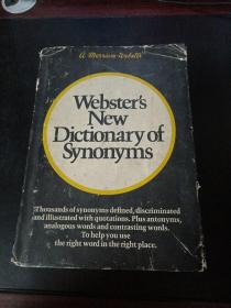 Webster's New Dictionary Of Synonyms