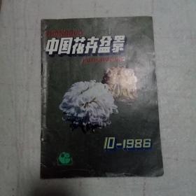 中国花卉盆景1986.10