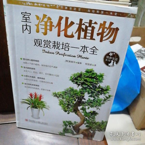 情趣生活系列：室内净化植物观赏栽培一本全