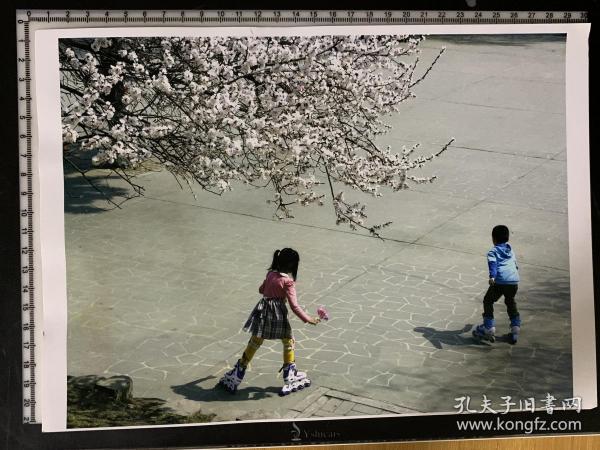 246  照片 摄影家艺术纪实类参展照片 大尺寸  赵立刚 同年延吉市公园里的孩子