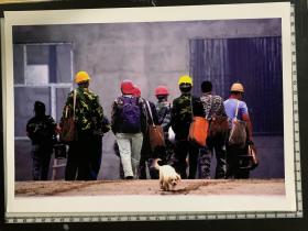 335  照片 摄影家艺术纪实类参展照片 大尺寸  城市的脊梁 建筑工人的背影