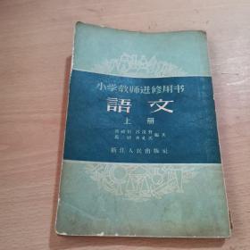 小学教师进修用书语文上册