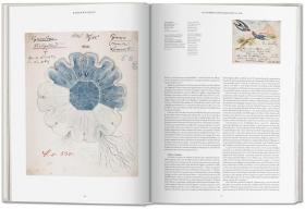 The Art And Science Of Ernst Haeckel