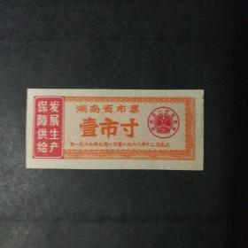 1967年9月至1968年12月湖南省布票一市寸