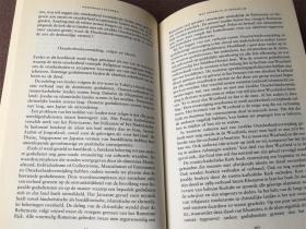 Allemaal andersdenkenden: Omgaan met cultuurverschillen (荷兰语)