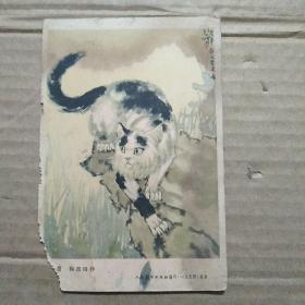 小画片《猫》人民美术出版社编印 1954年