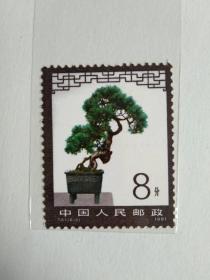 邮票T61 盆景艺术（6-2）