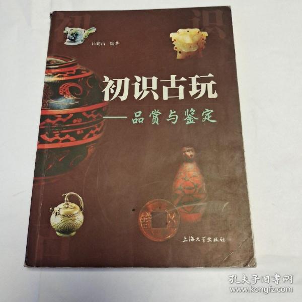 初识古玩：品赏与鉴定