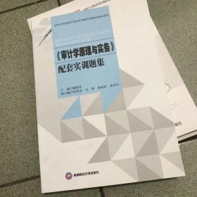 審計(jì)學(xué)原理與實(shí)務(wù)配套實(shí)訓(xùn)題集/全國(guó)高等院校應(yīng)用技術(shù)型財(cái)會(huì)類(lèi)精品教材系列