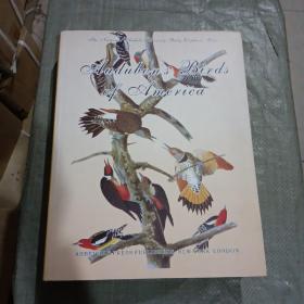 Audubon's Birds of America