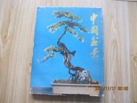 中国盆景（工艺美术资料画册 8开布面精装彩印 ） 特价120元包快递