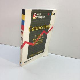 connected a global approach  tomanaging complexity   英文原版